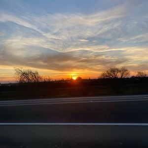 Meet your Posher, Arlene